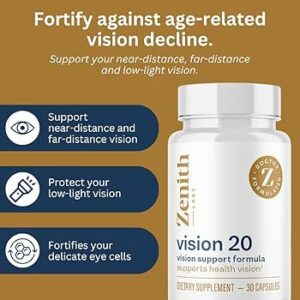 VISION 20 REVIEWS